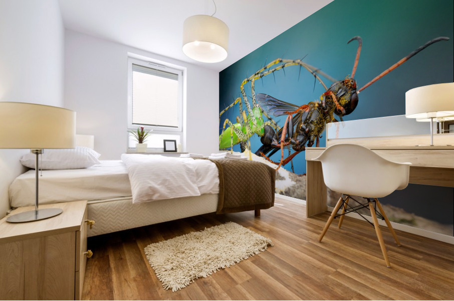 Green Lynx Spider  Mural print