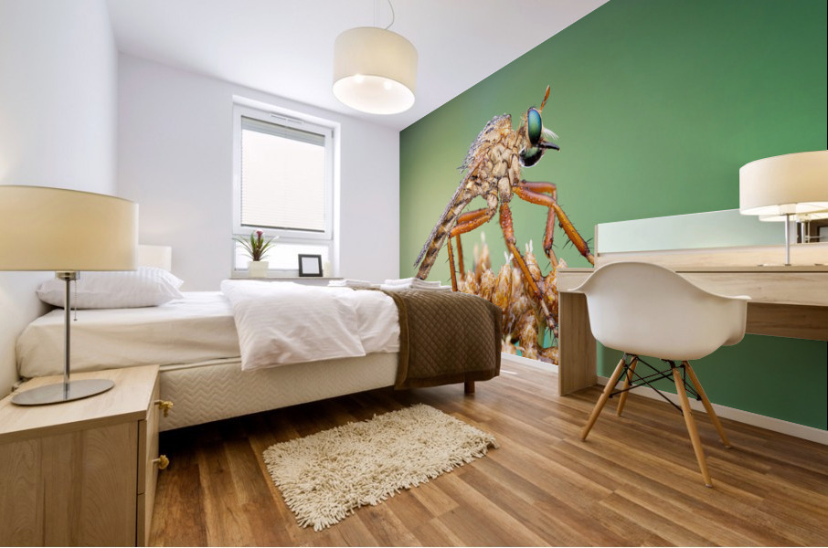 Robber Fly Mural print