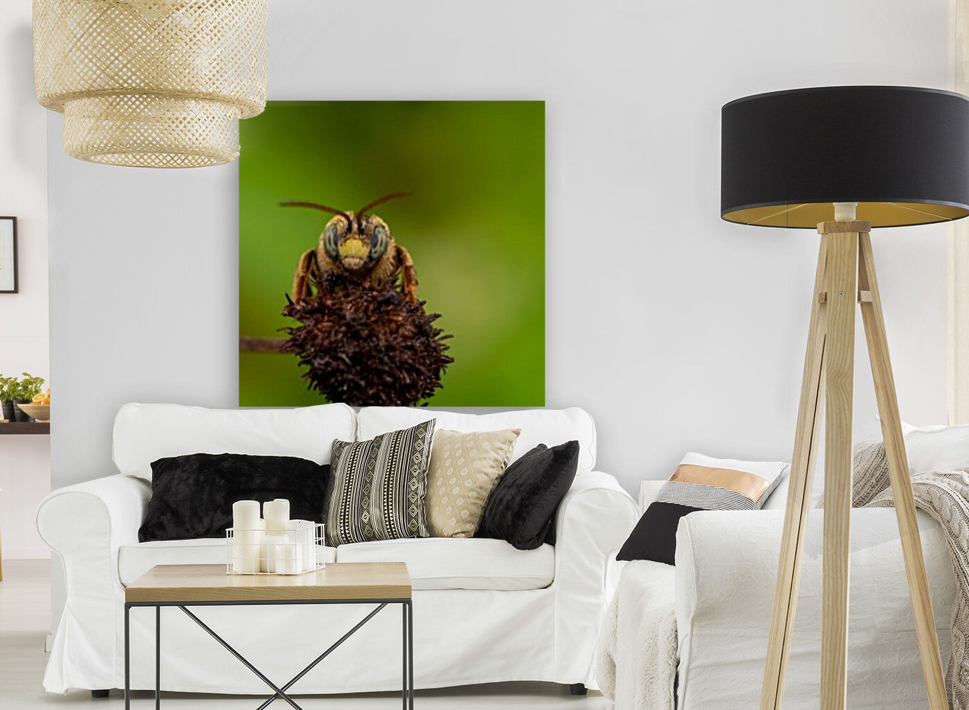 Long-horned bee  Reproduction