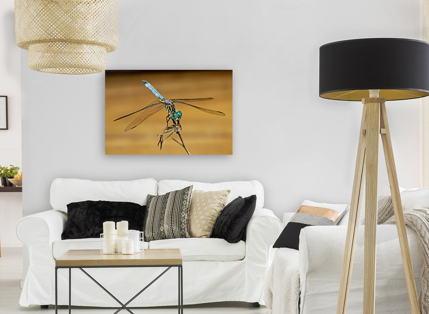 Dragonfly Reproduction