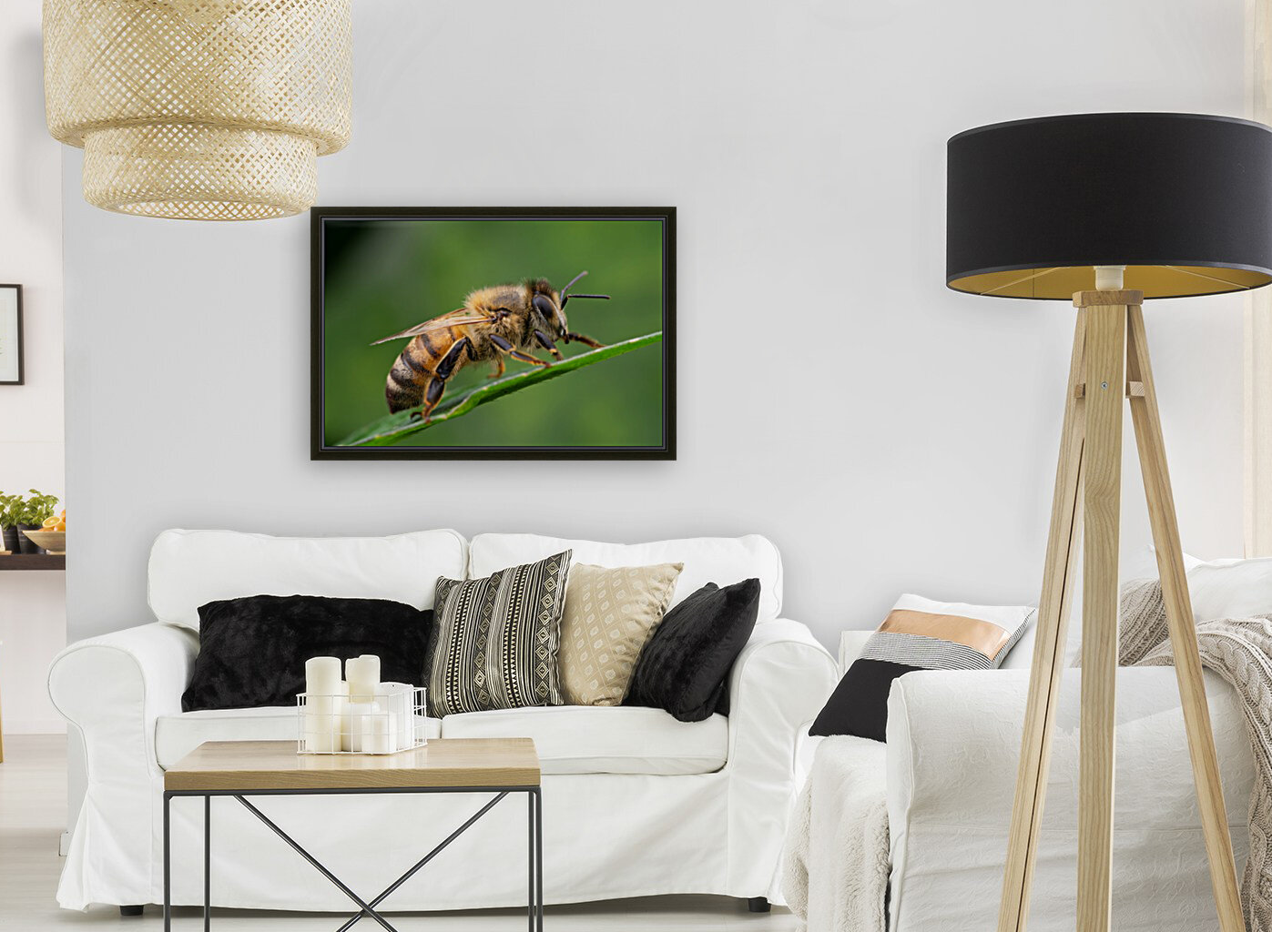 Honey Bee Reproduction