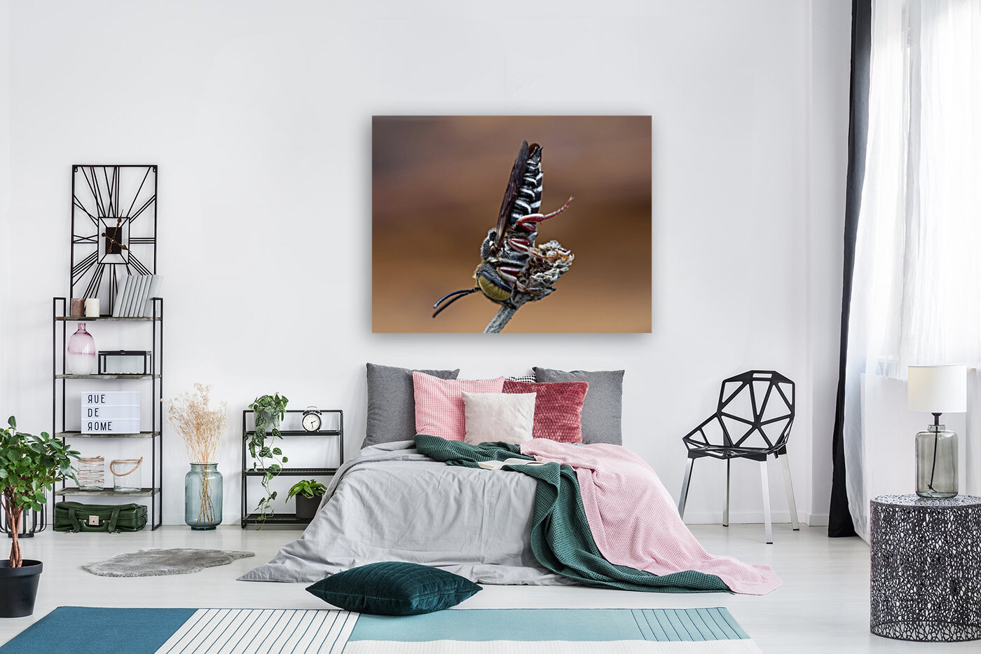 Cuckoo Leaf Cutter Bee Reproduction