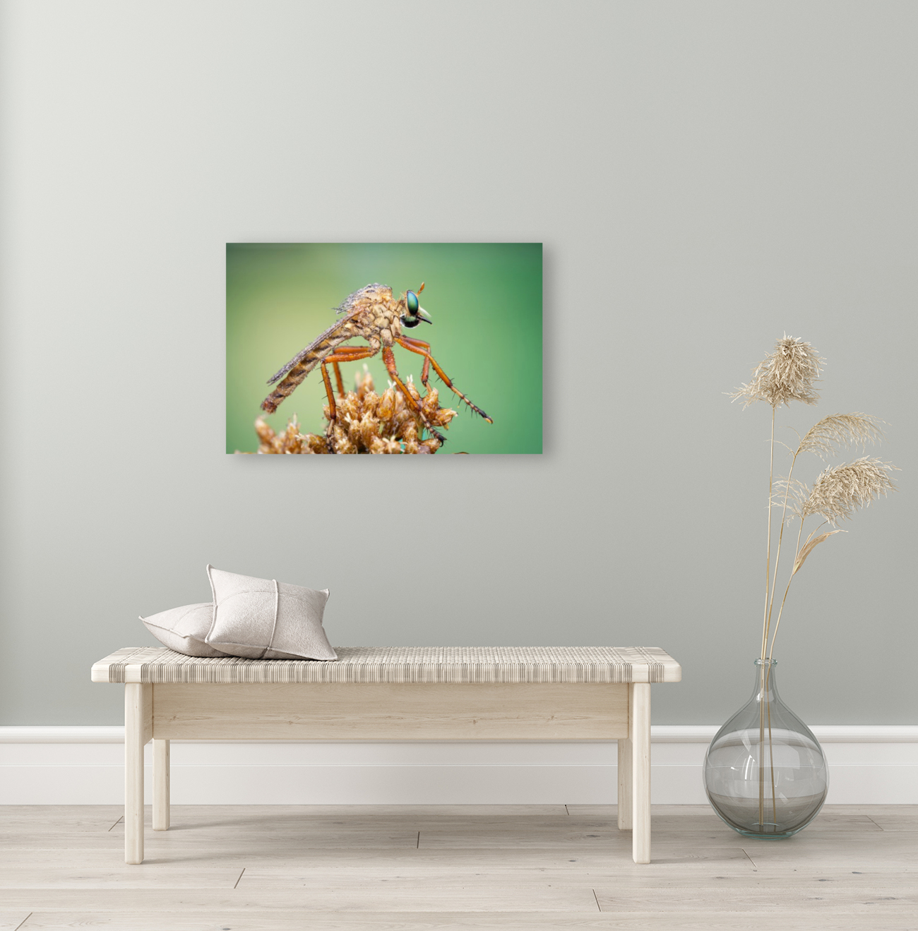 Robber Fly Reproduction