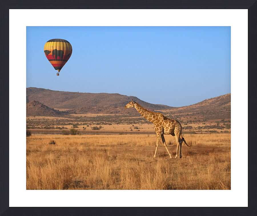  Fine Art print