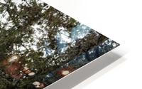 Rural Decay II HD Metal print