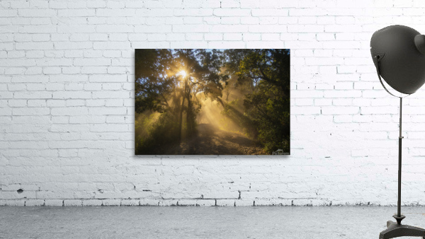 Polvoron Wall Preview