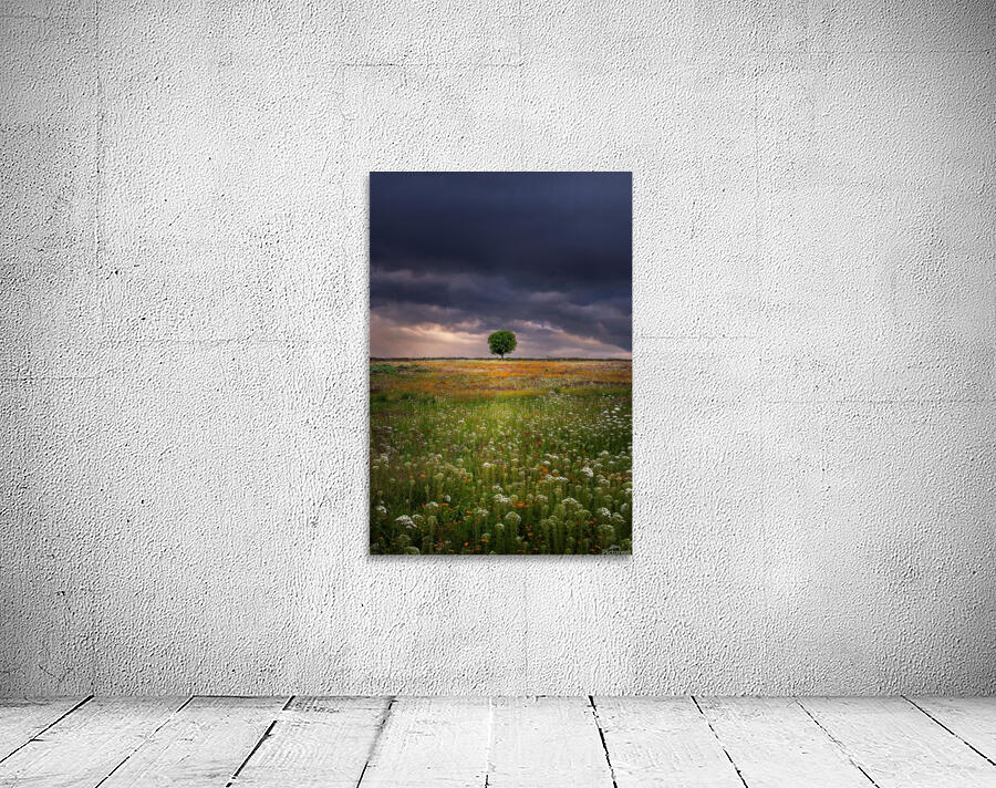 Solitario Wall Preview