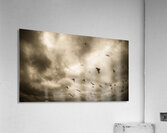 CLOUDS Acrylic Print