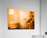 GHOSTS Acrylic Print