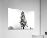 LONELY Acrylic Print
