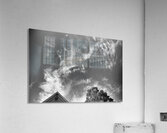 DREAMING TO FLY Acrylic Print