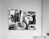 NO BONES ABOUT IT  Acrylic Print