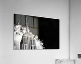 KING KONG Acrylic Print