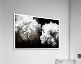 SPRING TIME Acrylic Print