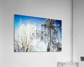 CRYSTAL Acrylic Print
