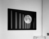 BELLA LUNA Acrylic Print