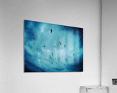 BIRDS BLUE Acrylic Print