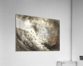 BIRDS GREY Acrylic Print