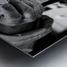 SAUCY Metal print