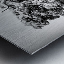 WINDSWEPT Metal print