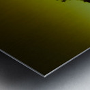 HERE THEY COME Metal print