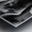 NO BONES ABOUT IT  Metal print