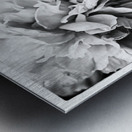 SPRING TIME Metal print