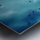 BIRDS BLUE Metal print