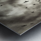 BIRDS GREY Metal print