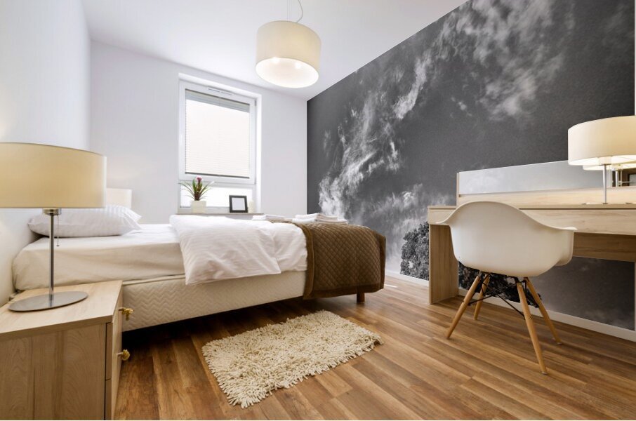 DREAMING TO FLY Mural print