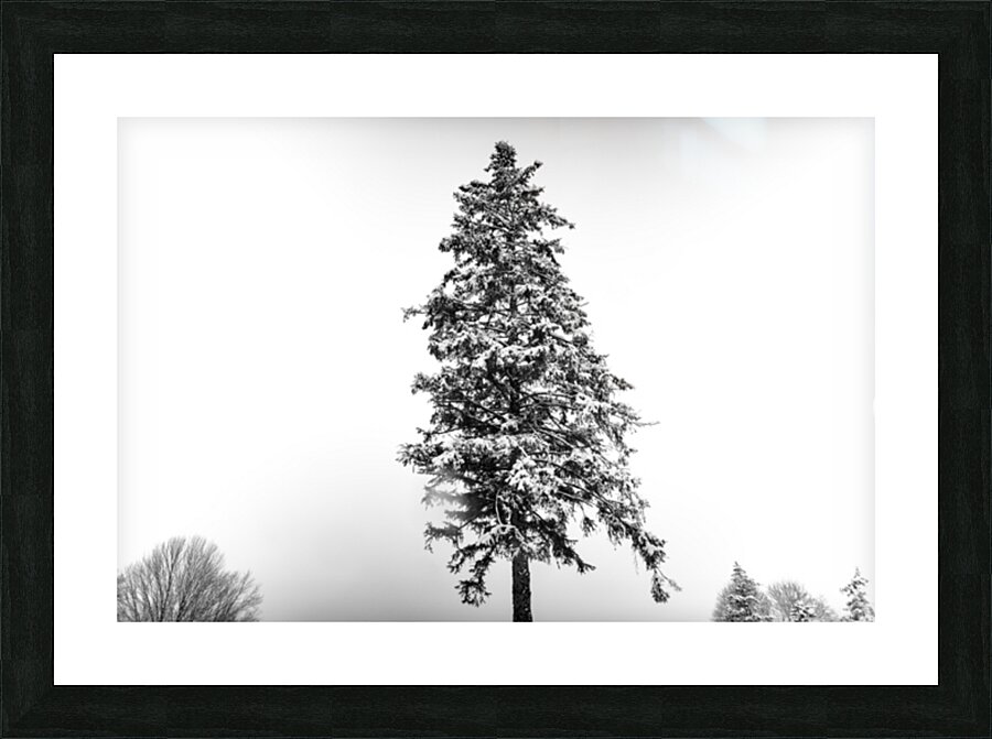 LONELY Picture Frame print