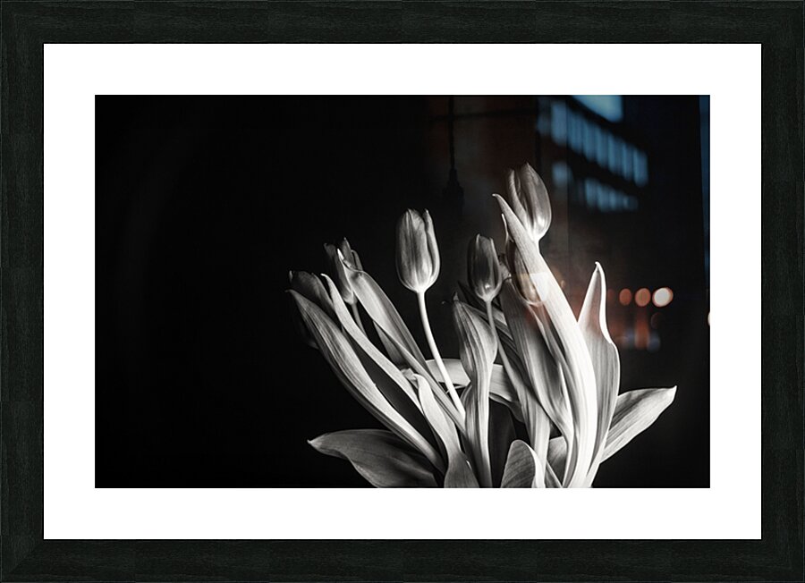 STUDY IN TULIPS 2 Picture Frame print