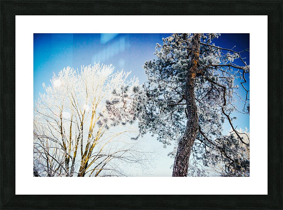 CRYSTAL Picture Frame print