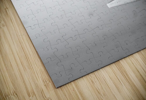 FLYWITHME2 KAPITAN PHOTOGRAPHY puzzle