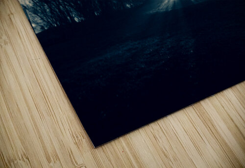 THE COMING KAPITAN PHOTOGRAPHY puzzle
