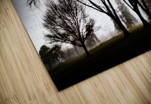 STICKS KAPITAN PHOTOGRAPHY puzzle