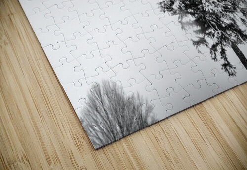 LONELY KAPITAN PHOTOGRAPHY puzzle