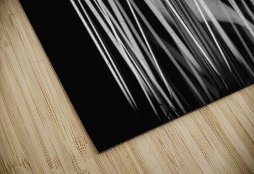 EDISON KAPITAN PHOTOGRAPHY puzzle