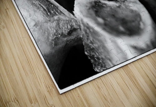 NO BONES ABOUT IT  KAPITAN PHOTOGRAPHY puzzle