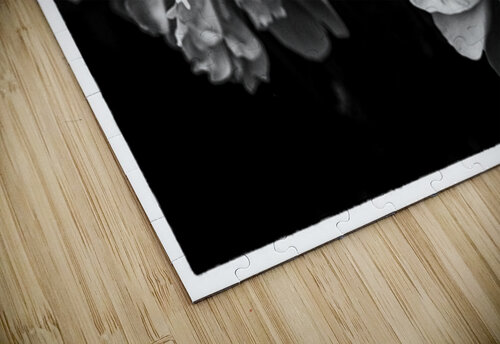 SPRING TIME KAPITAN PHOTOGRAPHY puzzle
