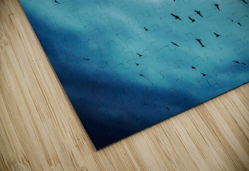 BIRDS BLUE KAPITAN PHOTOGRAPHY puzzle