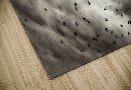 BIRDS GREY KAPITAN PHOTOGRAPHY puzzle