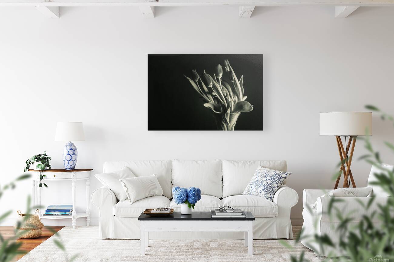 STUDY IN TULIPS  Reproduction
