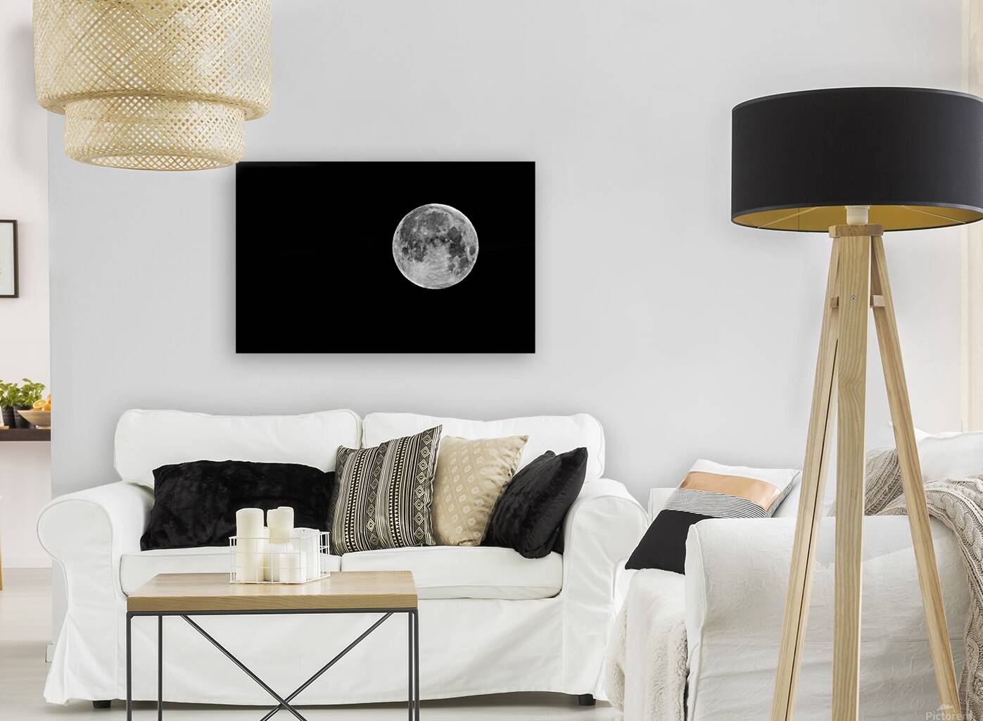 BELLA LUNA Reproduction