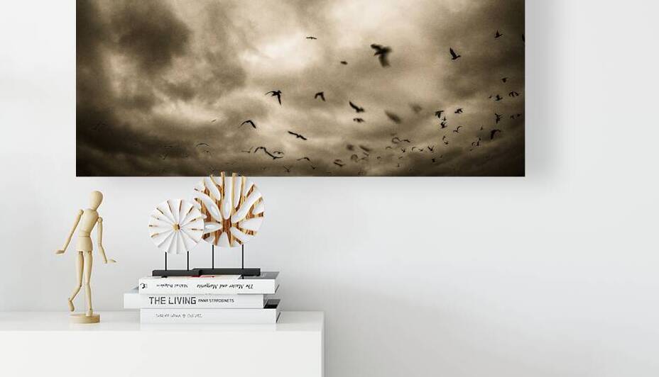 CLOUDS Reproduction