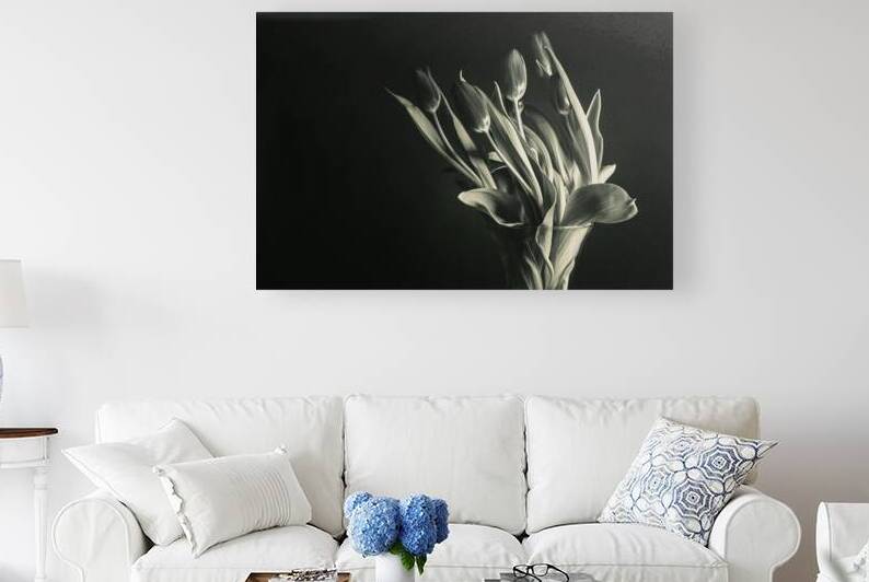 STUDY IN TULIPS  Reproduction
