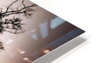 STICKS HD Metal print