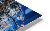 CRYSTAL HD Metal print