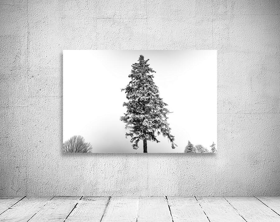 LONELY Wall Preview