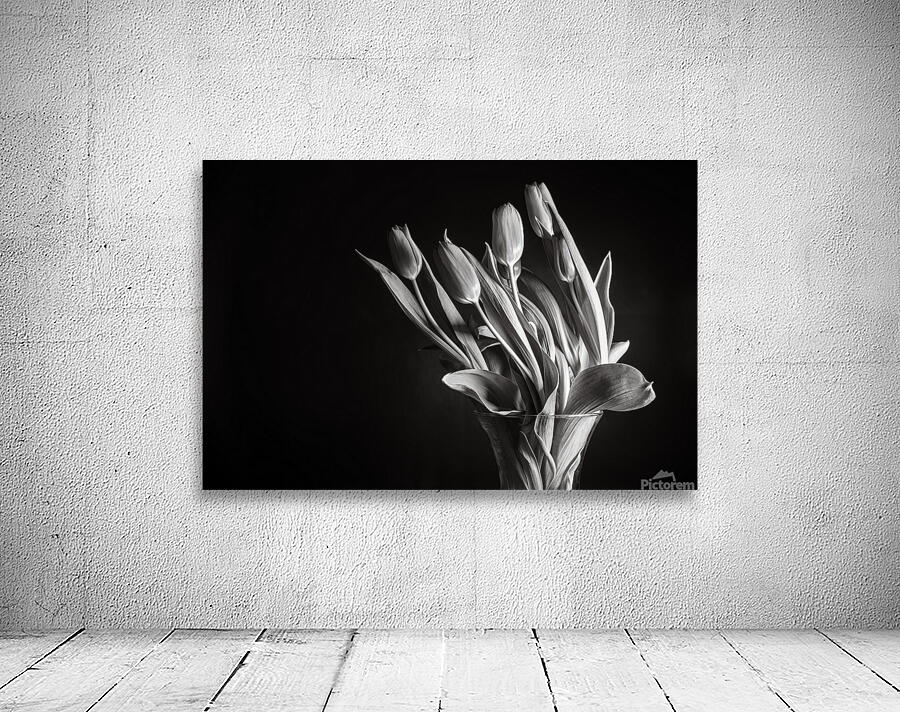 JUST TULIPS Wall Preview